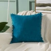 Blue pillow, pillowcase