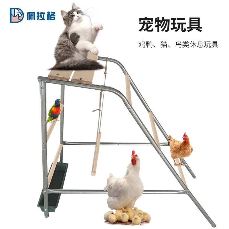 鸡栖架耐用组装分体式鸡爬架镀锌管桉木带水槽食槽鸟玩耍猫爬架