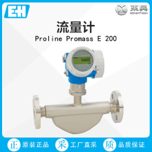 ��ֱ��Endress+Hauser����ӋProline Promass E 200���ݹ���