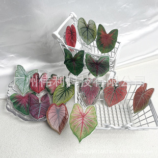 Creative Home Distinctive Tropical Plant Leaf Refrigerator Sticker Acrylic Drop Glue Soft Magnetic Refrigerator Sticker Decorative Magnetic Sticker