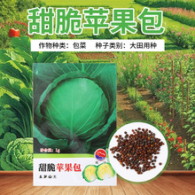 ����O�����G���{�N�������׷Nֲ�A���˷N�Ѹ߮a���Ĳ��߲˷N��