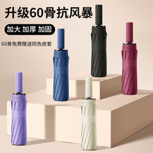 宝迪妮抗风风暴伞60骨双龙骨黑胶防晒晴雨伞折叠便携商务批发定制