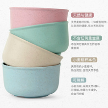 ʽСն넓ˤ뜫ɐpɱWLСSֱN