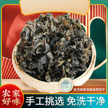 甘肃特产野生地皮菜干货免洗地皮菜地软地木耳地达菜地衣蒸包子