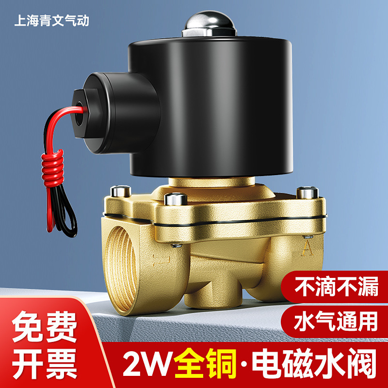 All-Copper Cast Valve Body Outdoor Water Supply Not Easy to Rust Copper Stainless Steel Diaphragm Solenoid Valve Water Valve Normally Closed