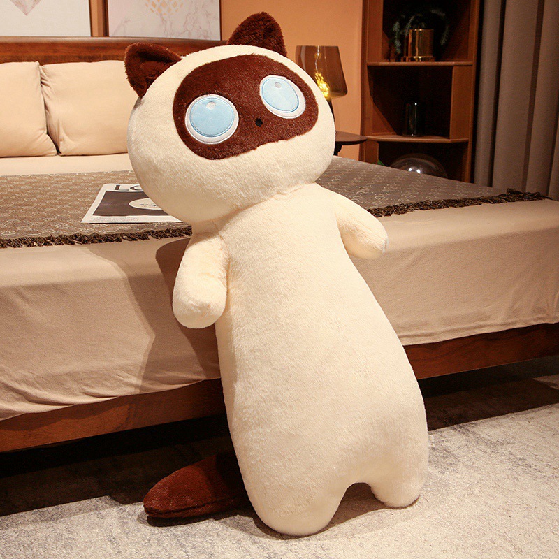 Beige cat