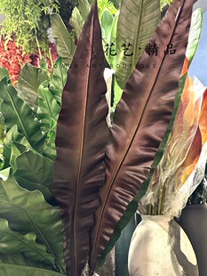 ��ɫ��ާ�~ֲ���Ƭ��ާ�~�bᎧ�~�Ļ�ˇ