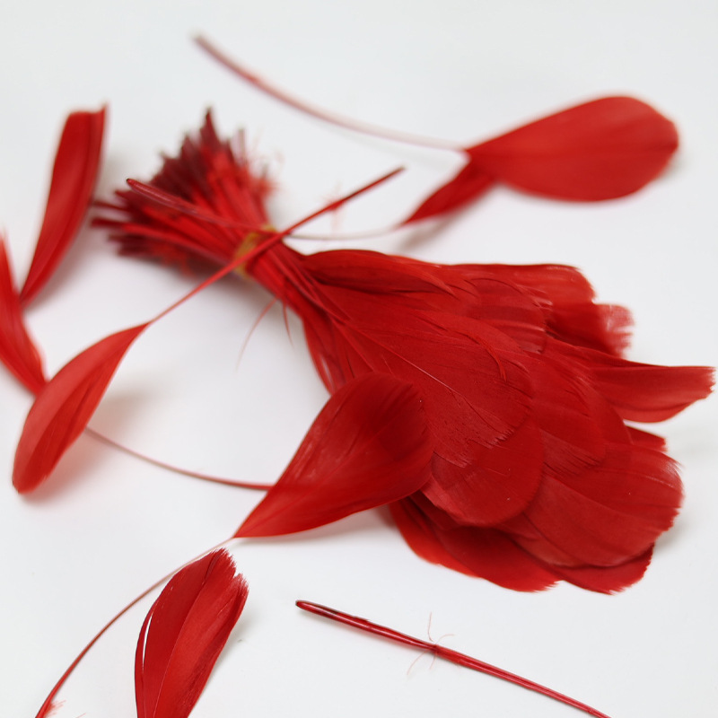 Fábrica directa pequeña serie de plumas rojas DIY accesorios accesorios de artesanía ropa accesorios escenario plumas