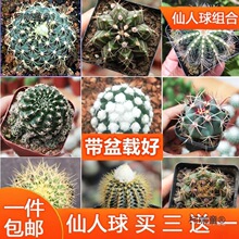 �����������ƽM�ϻ��ܾGֲ���Զ���ֲ�����֎�С���ԺÎ�����̫��