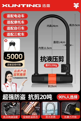 Motorcycle Lock: battery motorcycle locks, large - extended-anti-theft-upgraded-lock-cylinder-weight-600g-upgraded-and-extended-can-lock-the-main-door