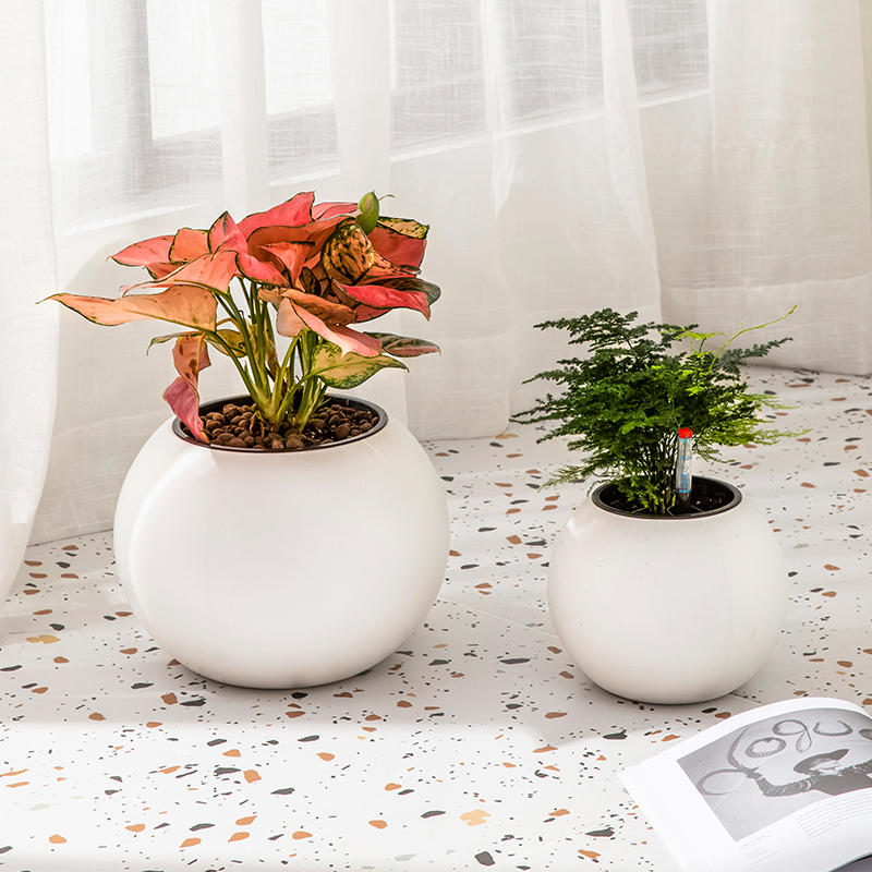 Maceta Esférica Blanca de Autorriego, Hidropónica, Sin Agujeros, Gran Capacidad