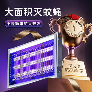 ���ß����l�羳��ω������������Ƶ���늓�ʽ���ñڒ��������
