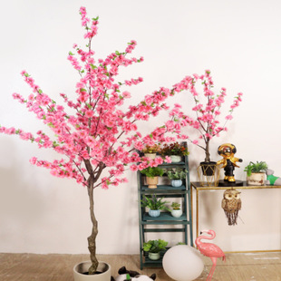 �羳���� IN ���R�d���N�����һ����ֲ�����Կ͏d�[�O�b������