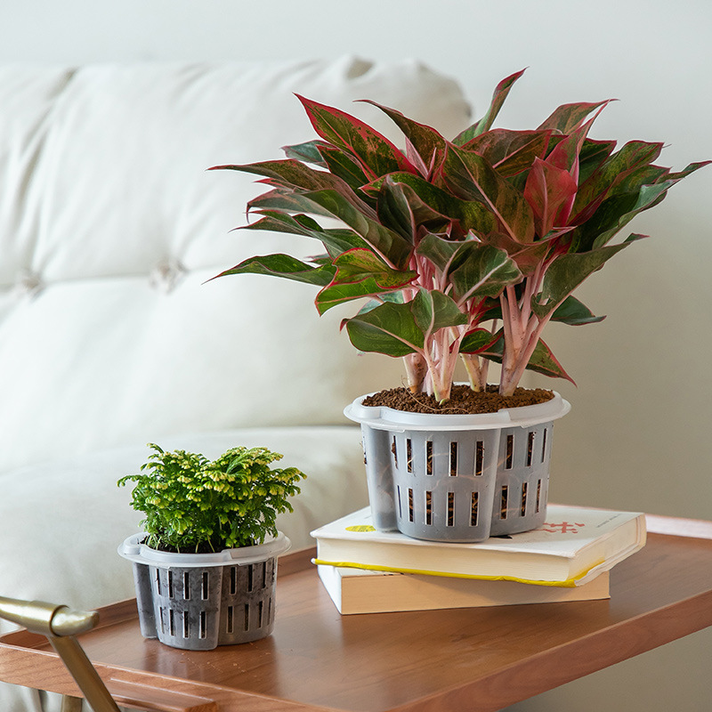 Equipo hidropónico sin suelo, maceta plástica gruesa, cesta para raíces, orquídeas y pothos