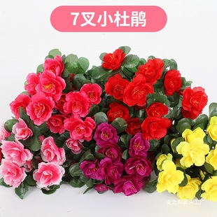 ���N��֦ӳɽ�t���ϼٻ����@ˇ�b��̲�ؽ����̈����^�쾰ֲ�q