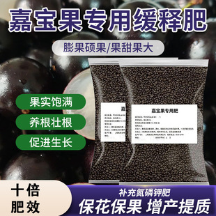 ∅ [90% favorable rating] special fertilizer for jiabao fruit fertilizer nutrition treasure fruit green leaf small fruit tree grape has XM
