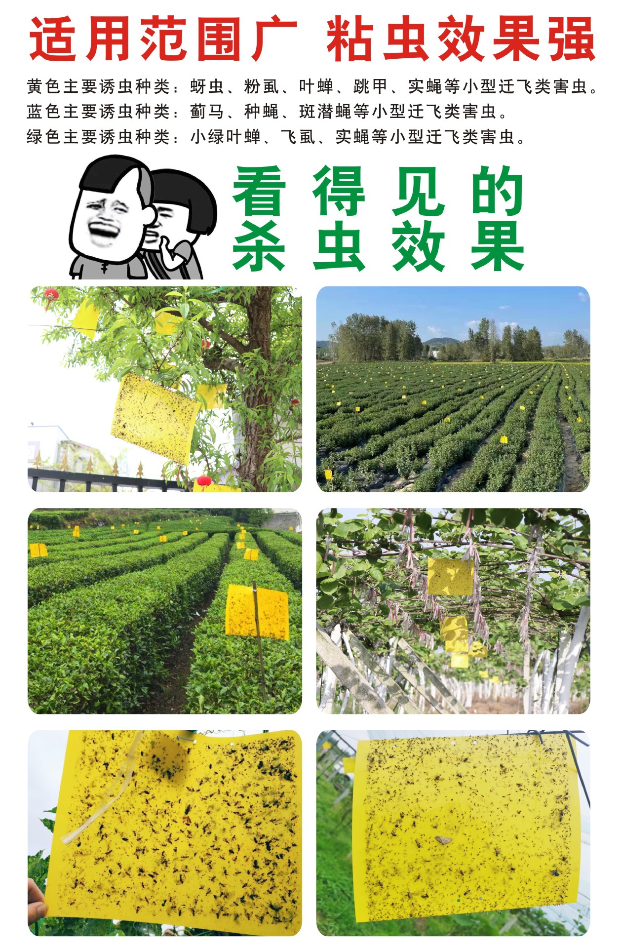 详情页-5
