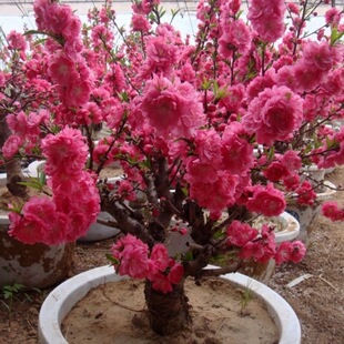 �匚������������ذ��һ����������ԉ����Ҙ����辰�䘶���B�׻�