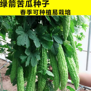 �G����ϷN�Ӹ���G�����N������߮a����ͥԺ���Դ����߲˷N��