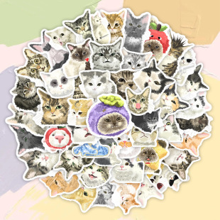 ԭ�����L50����ͨ؈��T�f�N���羳�����z��ˮ�N���b��֙C������