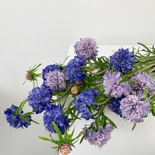 Ʒ|3^x {軨 ˇOӋ ȻLb Ĕz Ҿ