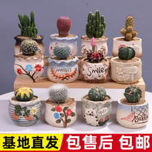 �������҃�С���Ծ�Ʒ������ֲ��ʮ�����k��������Gֲ