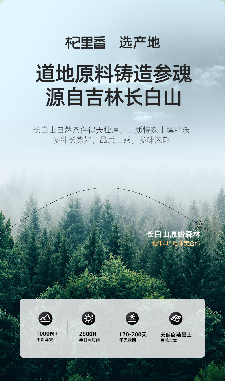 American Ginseng Root Slices 100g Round Jar 0.8-1.0cm Changbai Mountain Panax quinquefolius for Tea and Soup overview