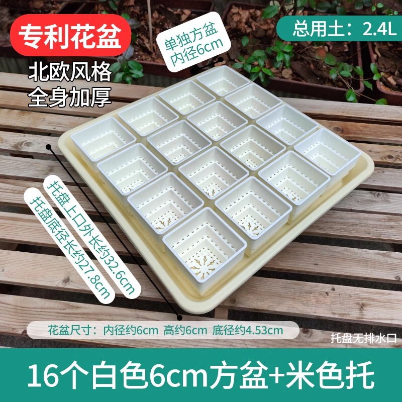 樹脂多肉植木鉢大口径小白角コンビネーション台座付きトレープラスチック通気植物専用根付き鉢|undefined