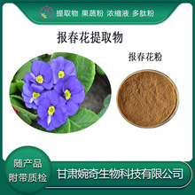 报春花提取物10:1 报春花粉 报春花浸膏 甘肃婉奇生物 现货供应包