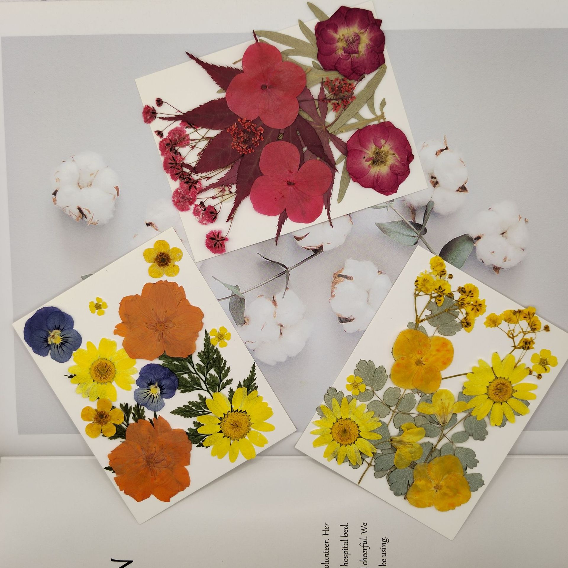 微信图片_20230720202005