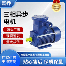 YBX4粉尘防爆6极电机三相380V国标纯铜马达7.5KW隔爆型异步电动机