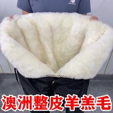 羊毛棉裤男皮毛一体裤子冬季中老年加绒加厚真皮保暖高腰羊皮裤女