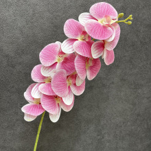 �ߙn3D��ӡ�����m���滨 9�^��������m �b��m����c�b����l