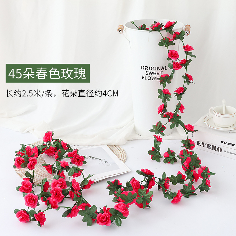 45 봄 장미 장미 레드