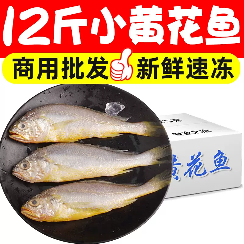 小黄花鱼新鲜海捕冷冻生鲜食材小黄深海鱼海鲜水产整箱商用批发