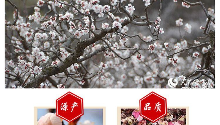 Apricot Flower Tea (Prunus armeniaca) — Dried Edible Flower Buds & Petals for Brewing quality and texture