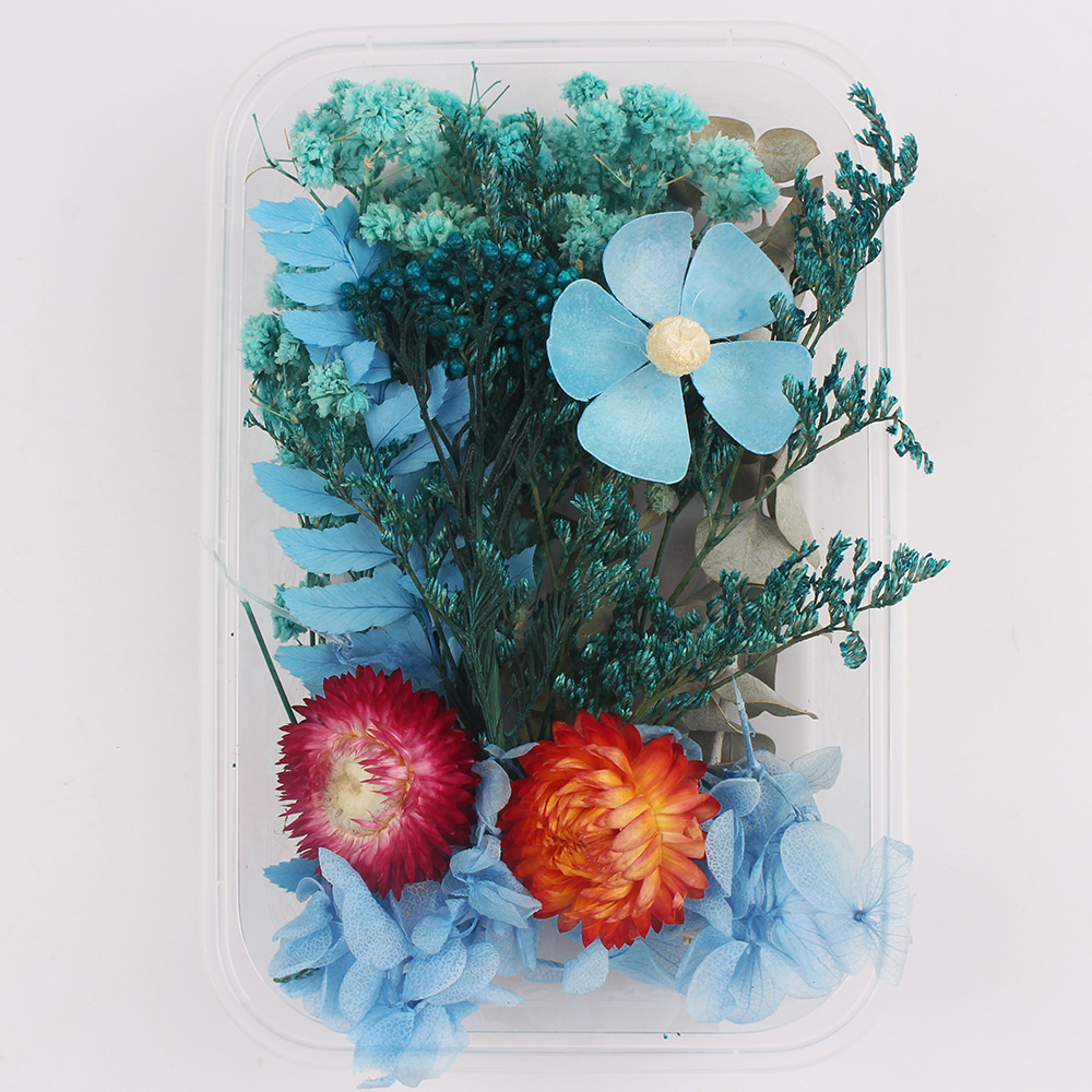 Flores secas preservadas hechas a mano, marco de fotos DIY, decoración mixta, materiales de aromaterapia, flores naturales, ramo de regalo para boda, San Valentín