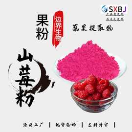 现货供应树莓粉果蔬粉树莓冻干粉烘焙原料覆盆子粉冲调饮品