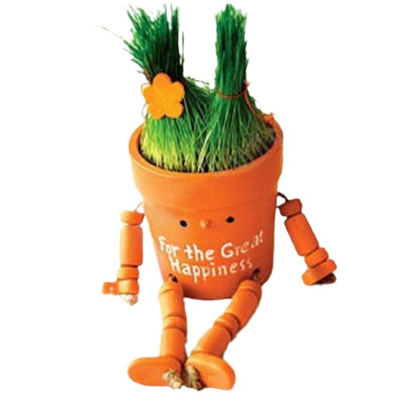 ��ֲ����ֲ����������� �������ſᷢ�ͻ��� ���Թ���Ʒ�ڼ�����