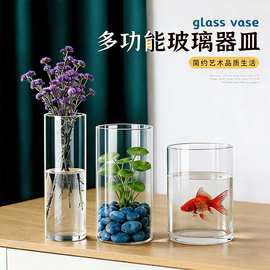 大号直筒玻璃花瓶批发龟背竹龙柳鲜花水培植物容器鱼缸摆件ins风