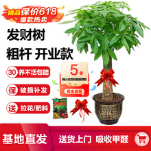 �lؔ�����������ռ�ȩ�͏d�����԰lؔ�䪚�Ƀ����՚��_�I�lؔ��