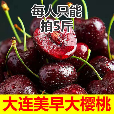 5 catties Dalian Meizao Cherry Cherry domestic fruit fresh Wholesale 1 Full container