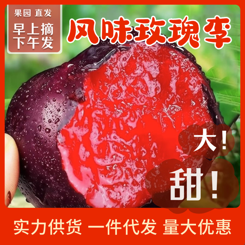 Seasonal Flavored Rose Plums, Red Heart Plums, Seasonal Fruits, Black Plums, Red-Fleshed Dinosaur Egg-Flavored Plums Seasonal Flavored Rose Plums, Red Heart Plums, Seasonal Fruits, Black Plums, Red-Fleshed Dinosaur Egg-Flavored Plums
