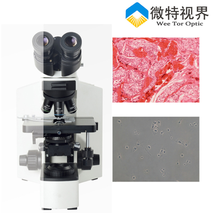 微特视界-无限远光学【三生物目显微镜】研究显微镜实验室观察