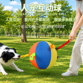 加固巨型宠物玩具球弹跳球边牧金毛狗狗玩具耐咬超大号狗球解闷球