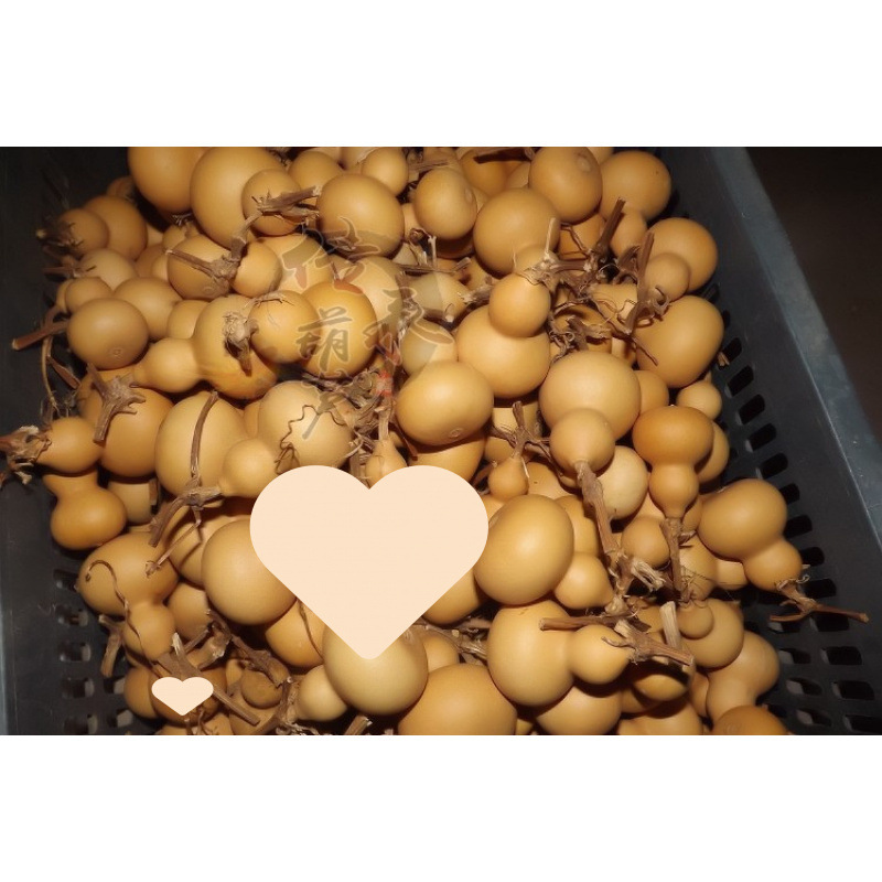 ↬↬↬불량품, 다양한 모양, 4~6.5cm, 100개↫↫↫