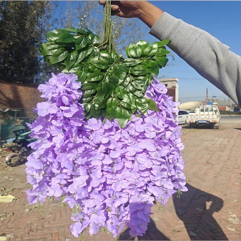 특별한 콩 꽃-라이트 퍼플