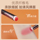 Cangzhou New Makeup Brush Multifunctional Lip Brush Concealer Brush Portable Round Dizzy Brush Beauty Makeup Tools Wholesale