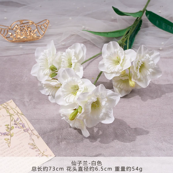 MJ-Fairy Lan-White