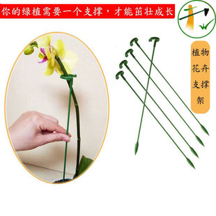 ����֧�ΗU�����m���m֧�ܶ��⻨֧�ܷ����¼�����ֲ�ﻨ���w֮�O